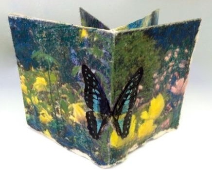 Window Into Nature Cover