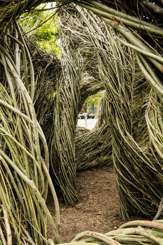 11182706_10153012200383692_3883728170737476677_o