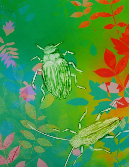 wendy-sittner_circling